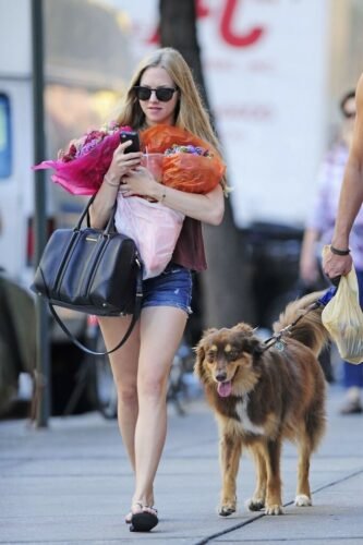 Amanda Seyfried Feet Toes And Soles 721
