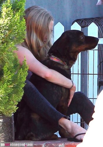 Amanda Seyfried Feet Toes And Soles 731