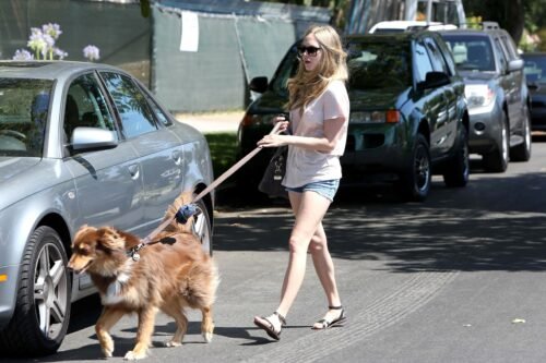 Amanda Seyfried Feet Toes And Soles 838