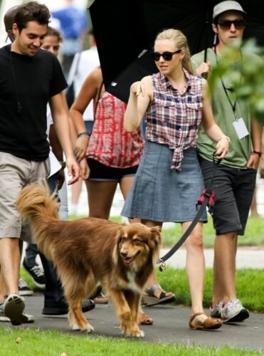 Amanda Seyfried Feet Toes And Soles 893
