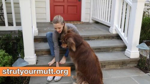 Amanda Seyfried Feet Toes And Soles 1305