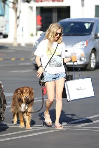 Amanda Seyfried Feet Toes And Soles 1317