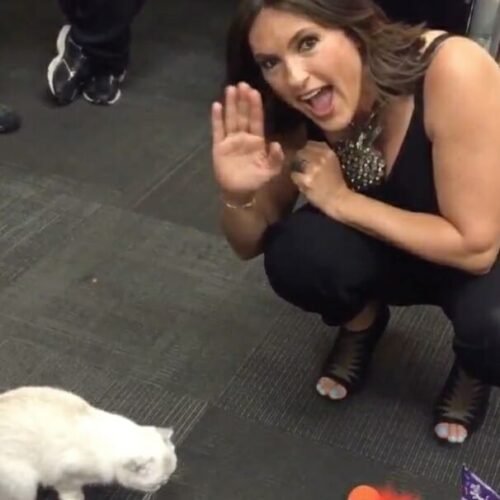 Mariska Hargitay Feet Toes And Soles 357