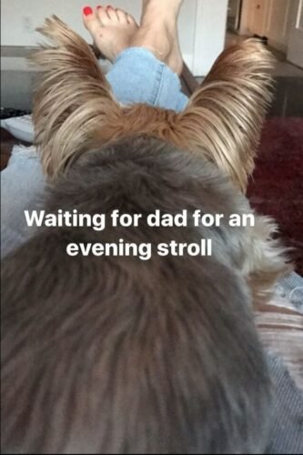 Beth Behrs Feet Toes And Soles 376