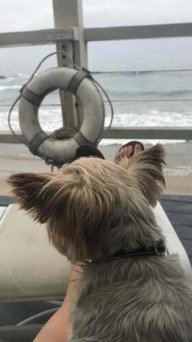 Beth Behrs Feet Toes And Soles 419