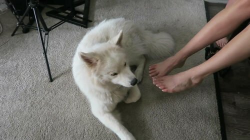 Amanda Cerny Feet Toes And Soles 250