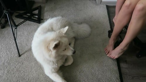 Amanda Cerny Feet Toes And Soles 251