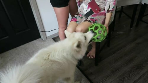 Amanda Cerny Feet Toes And Soles 252