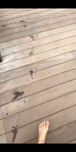 Amanda Cerny Feet Toes And Soles 368