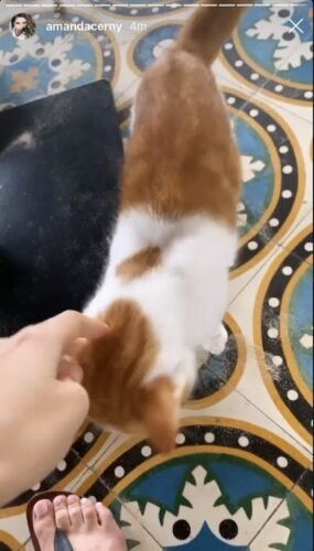 Amanda Cerny Feet Toes And Soles 401