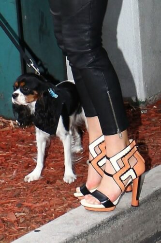 Julianne Hough Feet Toes And Soles 1123