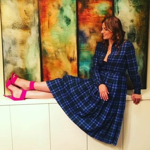 Stana Katic Feet Toes And Soles 480