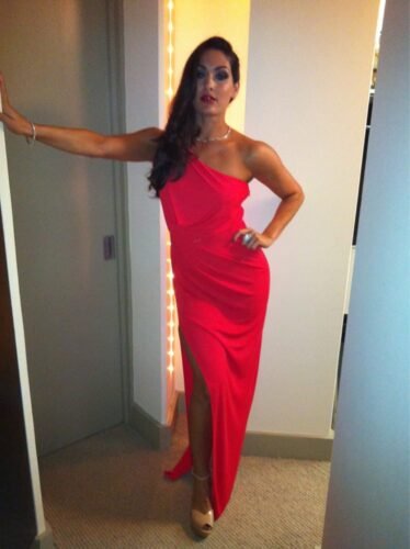 Nikki Bella Feet Toes And Soles 10
