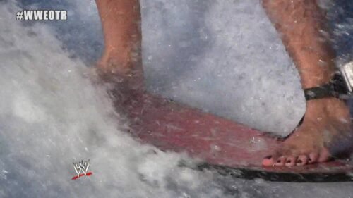 Nikki Bella Feet Toes And Soles 13