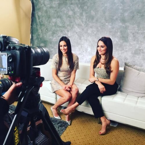 Nikki Bella Feet Toes And Soles 194