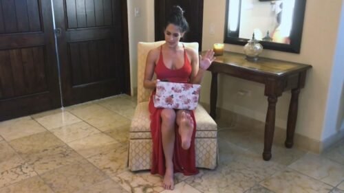 Nikki Bella Feet Toes And Soles 389