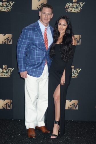 Nikki Bella Feet Toes And Soles 417