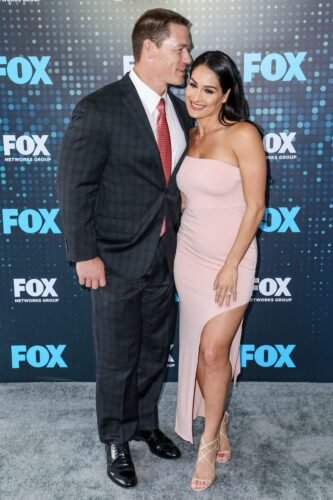 Nikki Bella Feet Toes And Soles 419