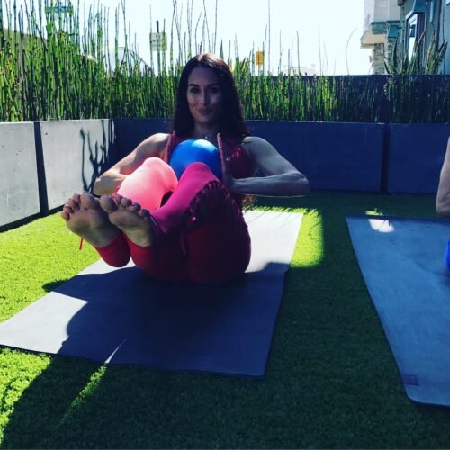 Nikki Bella Feet Toes And Soles 431