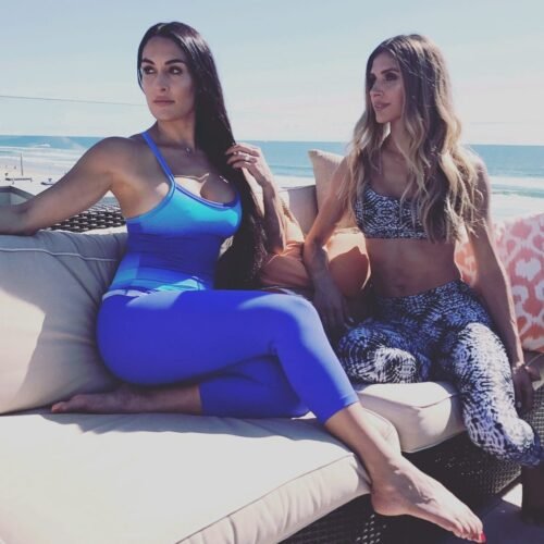 Nikki Bella Feet Toes And Soles 435