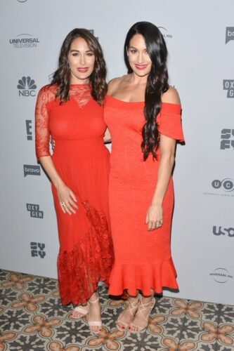 Nikki Bella Feet Toes And Soles 461