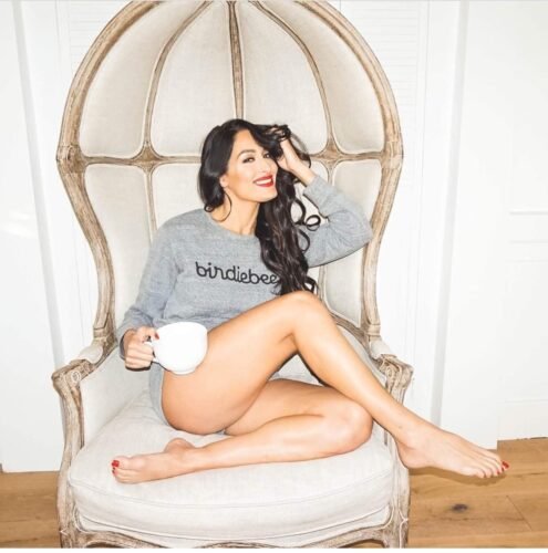 Nikki Bella Feet Toes And Soles 464