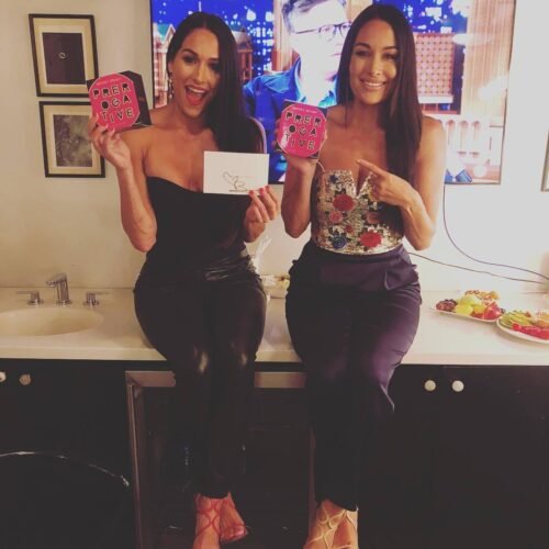 Nikki Bella Feet Toes And Soles 567