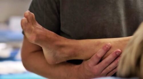 Cobie Smulders Feet Toes And Soles 269