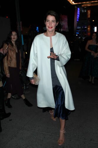 Cobie Smulders Feet Toes And Soles 272