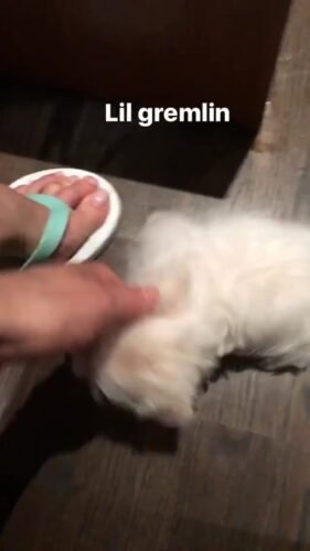 Juliette Lewis Feet Toes And Soles 500