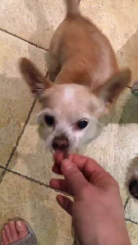 Juliette Lewis Feet Toes And Soles 503