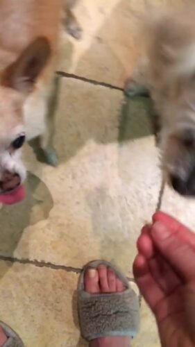 Juliette Lewis Feet Toes And Soles 504