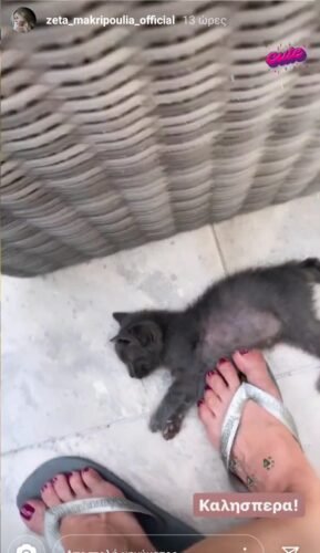 Zeta Makrypoulia Feet Toes And Soles 256