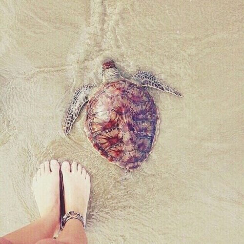 Isis Valverde Feet Toes And Soles 180