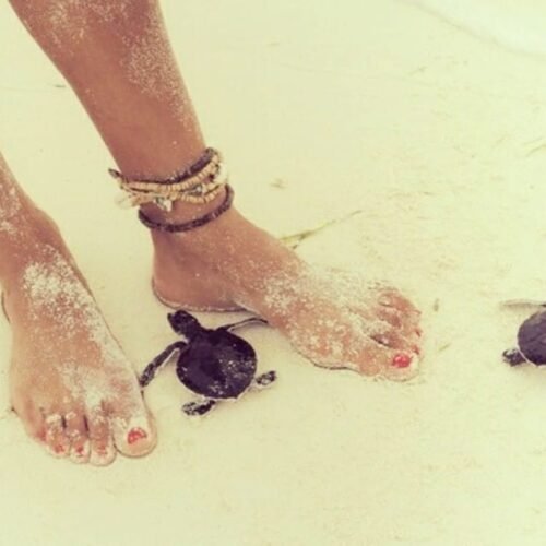 Isis Valverde Feet Toes And Soles 181