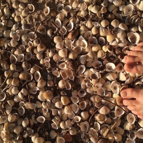 Isis Valverde Feet Toes And Soles 190