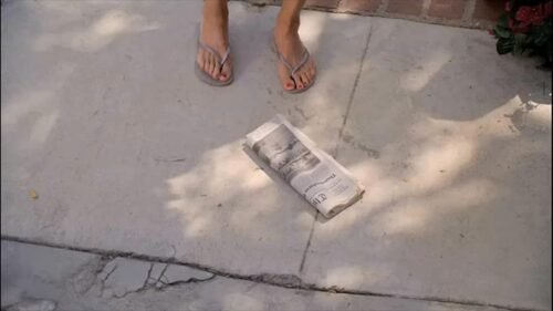 Courteney Cox Feet Toes And Soles 553