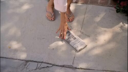 Courteney Cox Feet Toes And Soles 554