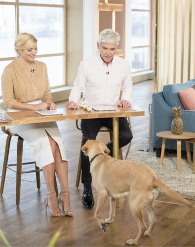 Holly Willoughby Feet Toes And Soles 252