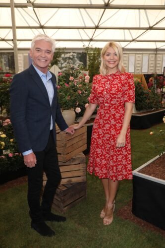 Holly Willoughby Feet Toes And Soles 783