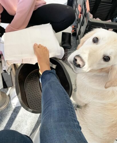 Holly Willoughby Feet Toes And Soles 1290