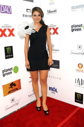 Maria Menounos Feet Toes And Soles 376