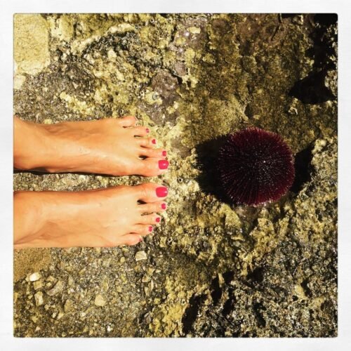 Caterina Balivo Feet Toes And Soles 390