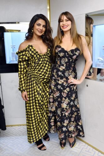 Priyanka Chopra Jonas Feet Toes And Soles 851