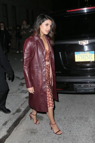 Priyanka Chopra Jonas Feet Toes And Soles 884