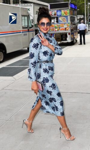 Priyanka Chopra Jonas Feet Toes And Soles 922