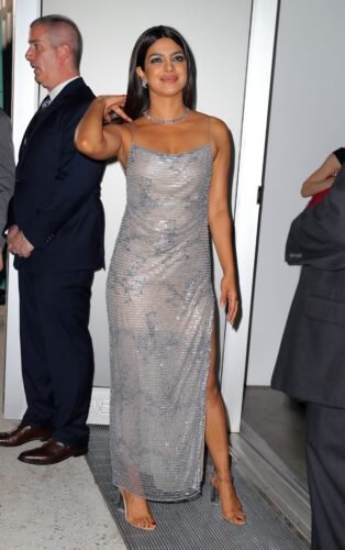 Priyanka Chopra Jonas Feet Toes And Soles 945