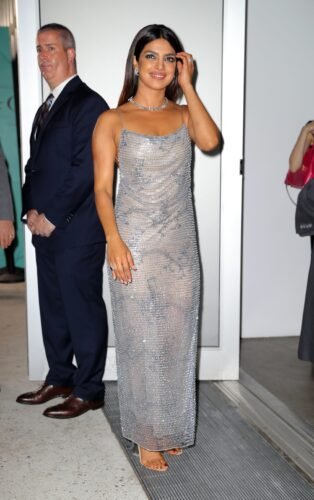 Priyanka Chopra Jonas Feet Toes And Soles 946