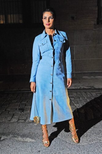 Priyanka Chopra Jonas Feet Toes And Soles 958