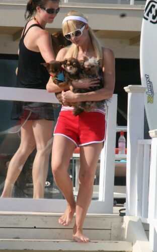 Paris Hilton Feet Toes And Soles 56